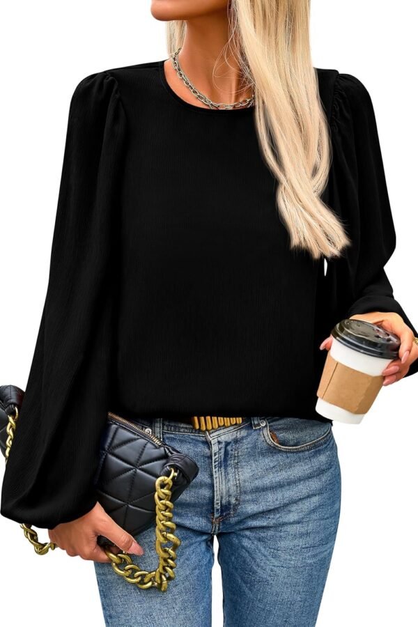 Womens Tops 2025 Spring Puff Long Sleeve Chiffon Work Blouses Dressy Casual Crewneck Flowy Shirts Fall Outfits